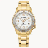 Citizen Promaster Dive Eco-Drive EO2029-54A