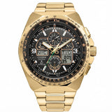 Citizen Promaster Sky Eco-Drive 50th Anniversary Limited Edition | JY8144-50E