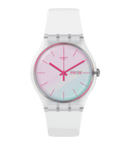 Swatch POLAWHITE SO29K704-S14