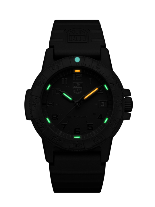 Luminox Leatherback Sea Turtle Blackout Men's Watch 0301.BO