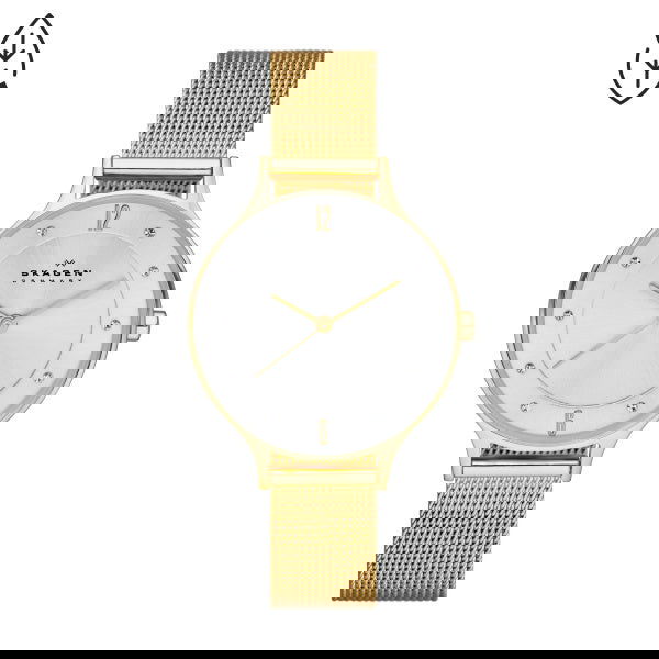 Skagen Anite Silver Dial Gold-tone Mesh Ladies Watch SKW2150