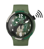 Swatch Look Right Thru Green Pay SB05G108-5300